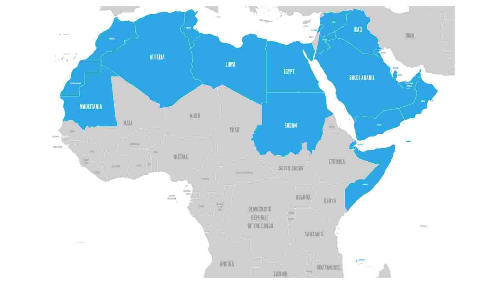 تلخيص درس المملكة العربية السعودية والقضايا العربية