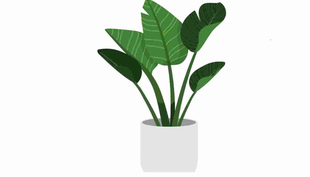 تأثير الروائح المنزلية على نمو النباتات الداخلية هو موضوع يستحق الاهتمام لما له من دلالات على تداخل البيئة المنزلية مع النظم البيئية الصغيرة كالتي تمثلها النباتات الداخلية.